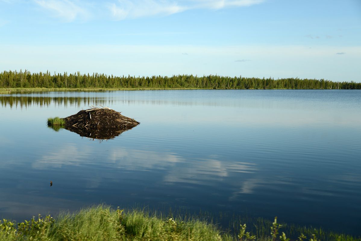 04A Beautiful Lake From Dempster Highway Between MacKenzie River Ferry And For McPherson Northwest Territories On Day Tour From Inuvik To Arctic Circle